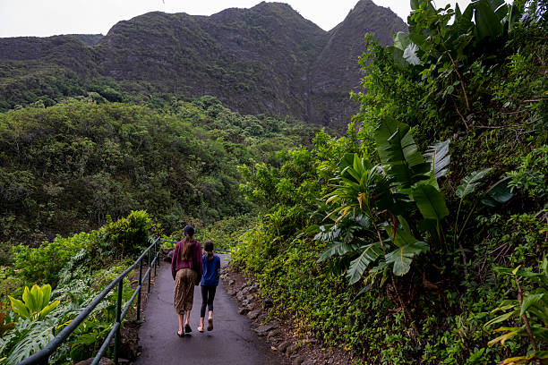 istock Sisters walk pathway in rainforest, Iao Valley State Park 2215419923