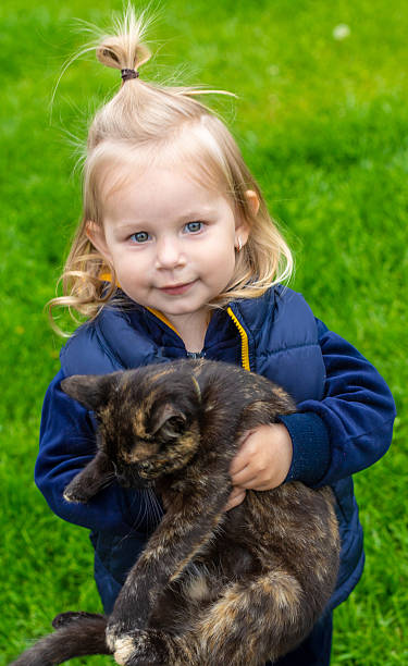 istock little girl playing with a cat. Selective focus 2215422490