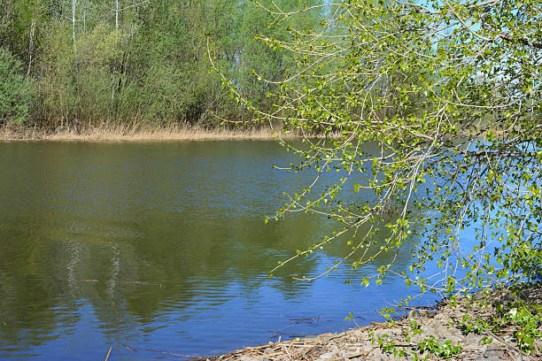istock A blue river scene with trees and foliage, reflecting the sky 2215423816