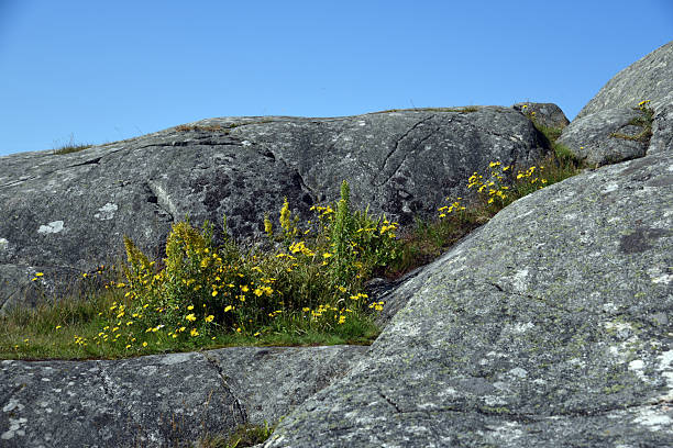 Granit rock with blue sky near Gothenburg City in Sweden. Captured during summer season.