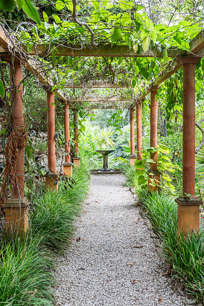 istock Romantic garden walkway forming a green tunnel, springtime, nobody 2215429136