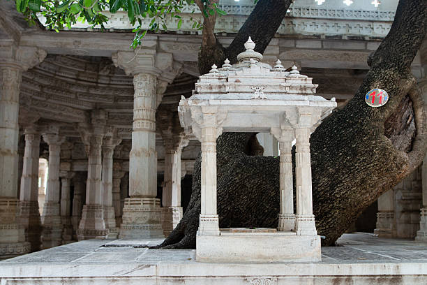 A marble monument stands next to an old big tree and beautiful white columns, inside the jainist Ranakpur Temple, in Rajasthan, India
