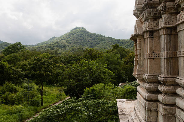There is a green mountain full of trees and a small path next to the beautiful ancient jainist Ranakpur Temple, in Rajasthan, India