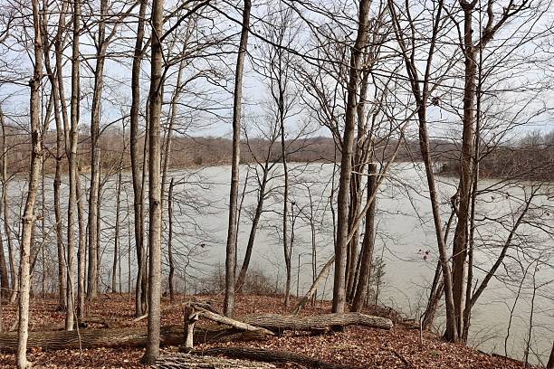 istock Lake View from the Woods 2215432204