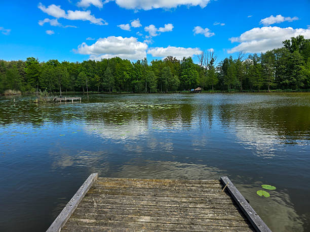 istock Sunlit Lake with Water Lilies Peaceful Nature Harmony 2215437572