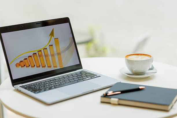 Two professionals discussing business growth and digital marketing strategy using graphs and laptops  ideal for content on e-commerce, finance, and data-driven planning