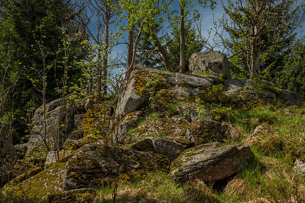 Color spring view in Orlicke mountains with green fresh forests and meadows with rocks