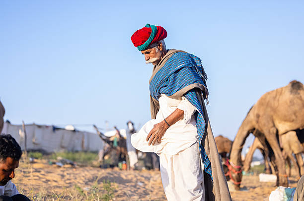 Pushkar, Rajasthan, India - November 2024: Portrait of a rajasthani male in traditional white clothes with colourful turban at desert fair ground during the pushkar camel fair to trade camels.