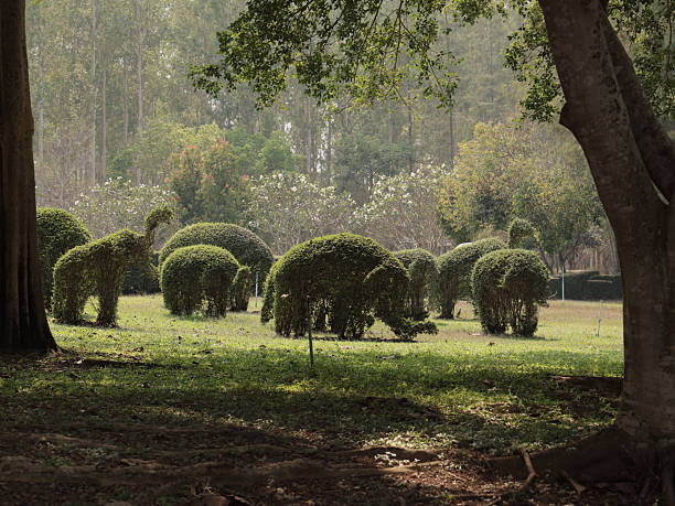 Unique topiary sculptures that brilliantly resemble various animals, all set in a tranquil and serene park environment