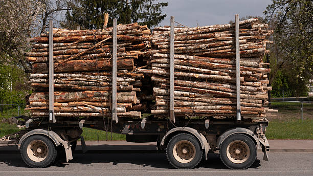 istock Logging Truck Loaded with Timber on Rural Road 2215447238