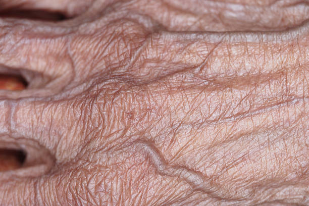 istock Close-up of an elderly hand highlighting fine details 2215456028