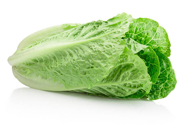 istock Fresh green romaine Lettuce isolated on white background 2215462342