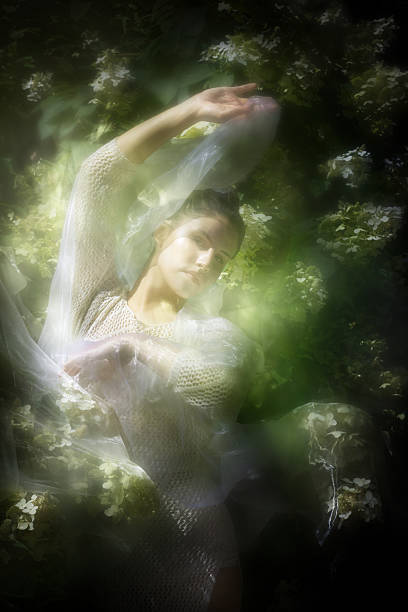 istock Elegant Dancer in Hazy Hortensia Szene 2215466680
