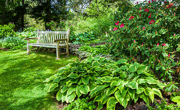 istock Bench in the Garden 2215473194