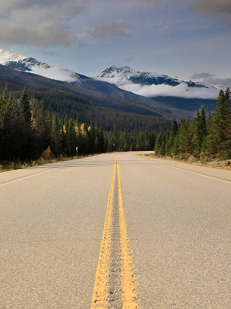 istock Icefields Parkway driving the Athabasca River Valley NW to the Trident Range peaks Aquila, Lectern, Marmot, Indian Ridge. Jasper NP-Alberta-Canada-261 2215479533