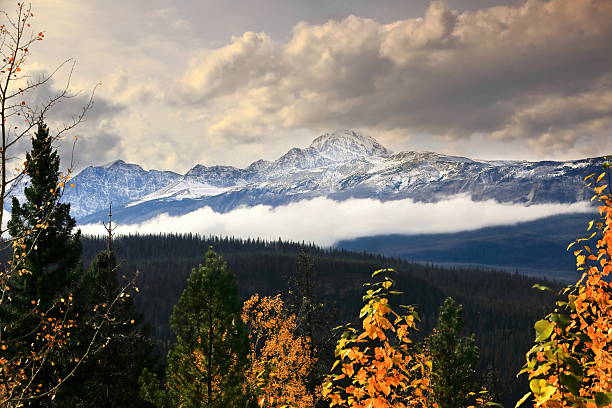 Southwestward view from the Icefields Parkway to Mount Edith Cavell (3363m) and its outlier peaks Verdant and Chevron, rising above the Athabasca River Valley stacked clouds. Jasper NP-Alberta-Canada.