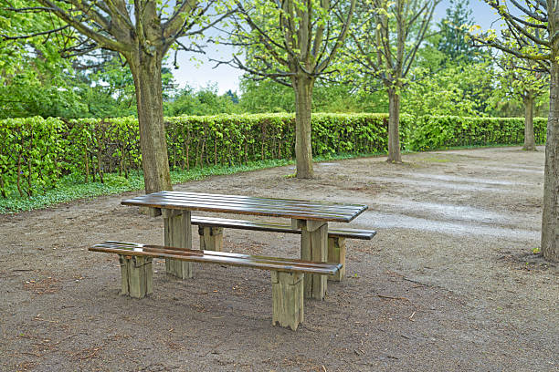 Picnic table in a park surrounded by lush green foliage and overspread by gracefully arching deciduous trees