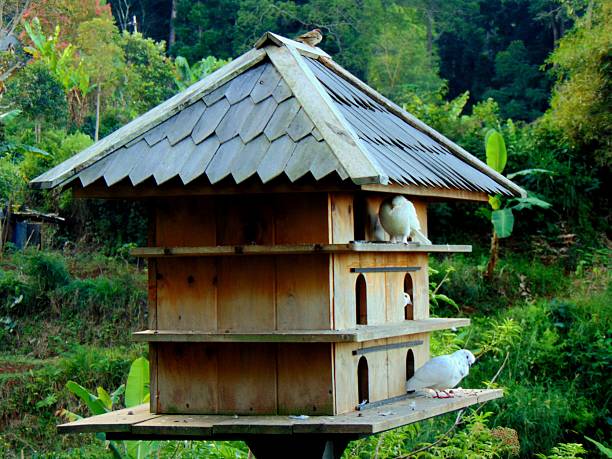 A side view of the wooden birdhouse for white doves.