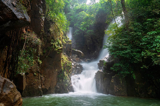 istock Beautiful motion waterfall view at Phlio national park, Chanthaburi 2215494356