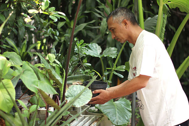 istock Garden man arranging the plants. 2215499486