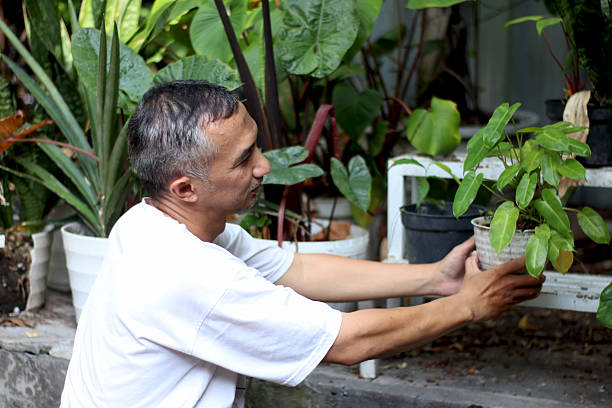 istock Gardener arranging the plants. 2215499491