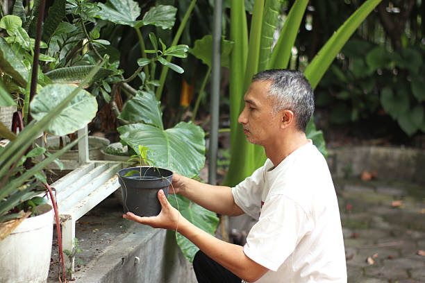 istock Male florist arranging the plants. 2215499494