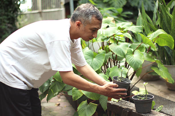 istock Gardener arranging the plants. 2215499520