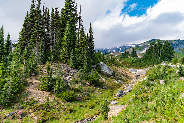 istock Enchanting forest. Summer day in wild mountain with coniferous forest and green slopes. Mountain landscape with meadow. Mountainous landscape with cloudy sky. Scenic green hill mountain 2215500012