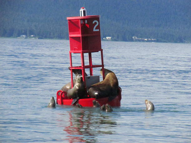 istock Relaxing Afternoon at Auke Bay 2215501771