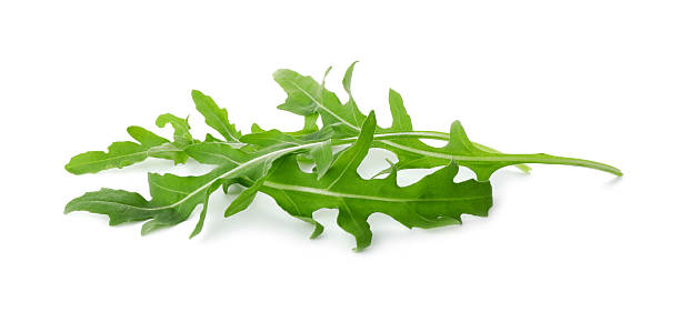 istock Many fresh arugula leaves isolated on white 2215513586