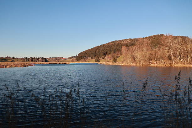 istock Calm lake with a few trees in the background 2215518051