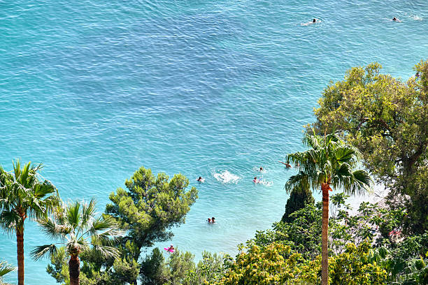 A group of swimmers enjoys the crystal-clear turquoise waters of a secluded Mediterranean cove, framed by lush greenery and tropical trees. The vibrant scene captures the serenity, escape, and natural beauty of an idyllic summer retreat.