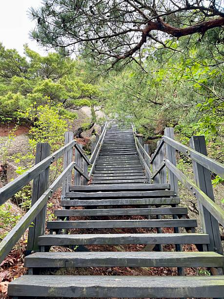 istock Weekend Hiking in May Seoul Korea 2215521519