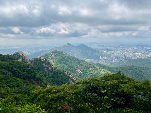 istock Weekend Hiking in May Seoul Korea 2215521556