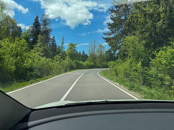 istock Driving on a Countryside Road Through Dense Forest in Spring 2215522723