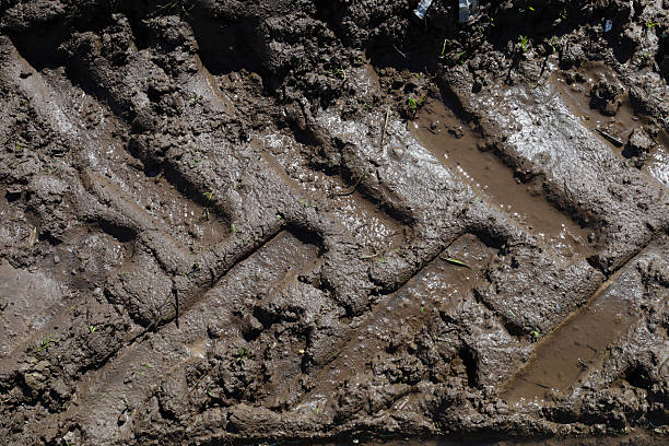 The road is covered in mud and has tire tracks from vehicles driving on it. The tracks are clearly visible, indicating that the road has been used recently. The mud is thick and sticky