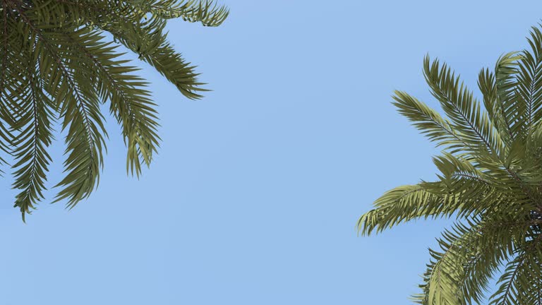 Looping 3D Animation – Palm Trees Swaying in the Wind Against a Blue Sky with Copy Space