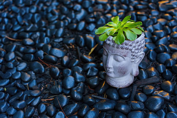Close-up shot of a Buddha head planter with a succulent on a bed of dark pebbles, showcasing intricate details and natural textures.