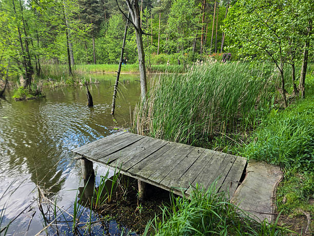 istock Oasis of Harmony Botanical Garden Lakes 2215529492