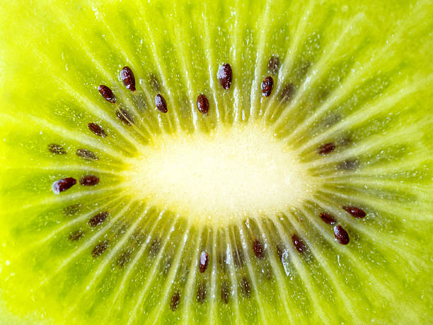 Green kiwi macro shot. Fruits background. Close up