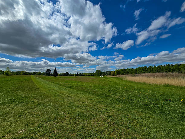 A large green field