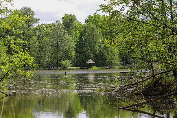 istock Oasis of Harmony Botanical Garden Lakes 2215532120