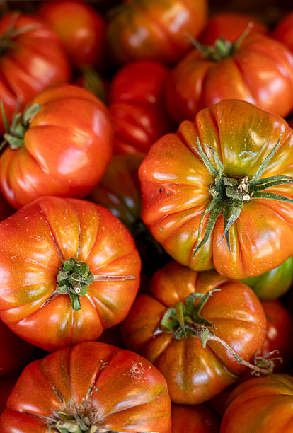 istock A bunch of red tomatoes are piled up in a crate. 2215533990