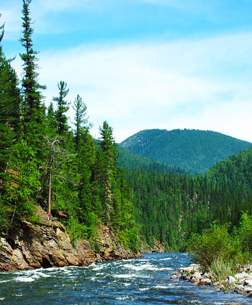 Scenic river flowing through forested mountains under clear blue sky.