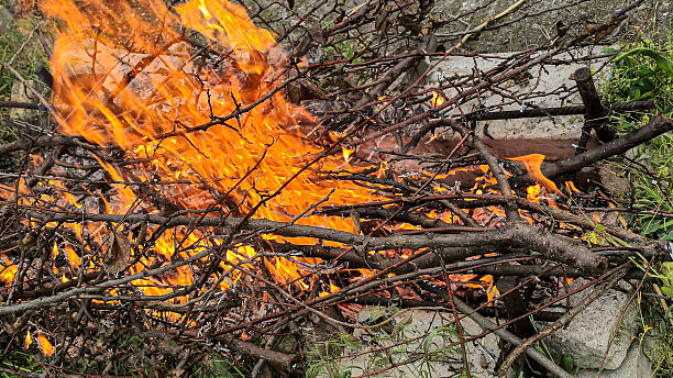istock Bonfire with orange flames of burning wood and bricks. Blurred background. 2215536844