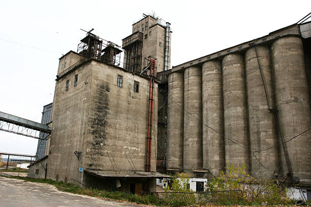 Low wide angle view of concrete grain silos in Inverell a rural New South Wales town in Australia used to store wheat, sorgum, barley and other grains from farms in the area.