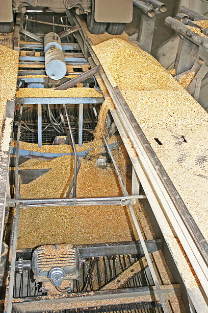 istock Industrial grain processing equipment with conveyor and storage system in factory 2215537841