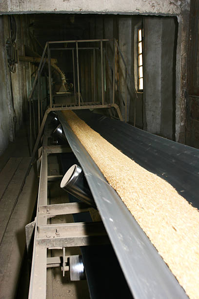 istock Industrial conveyor belt transporting grain in warehouse with rustic concrete interior 2215537843