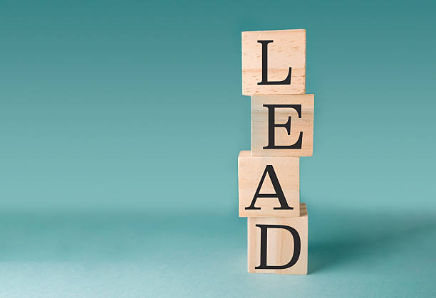istock Stack of wooden blocks with the word LEAD written on them 2215543095