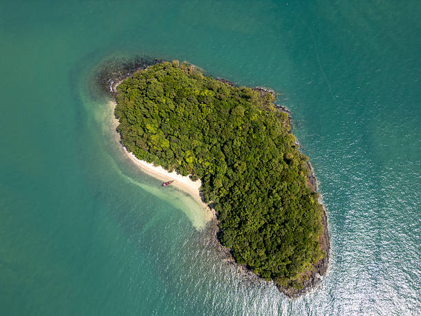 istock Aerial view of tropical beach and panoramic forest with palm trees and blue sky 2215543152
